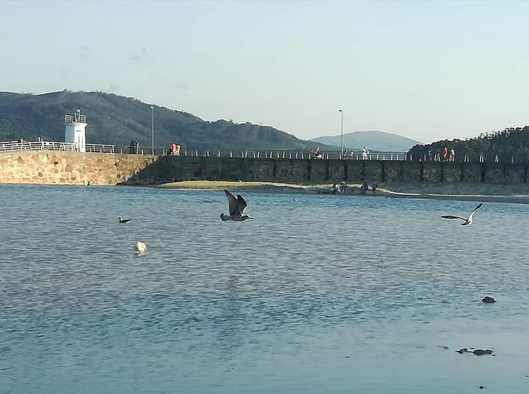 Foz, Ven Y Disfruta Galicia Appartement Buitenkant foto